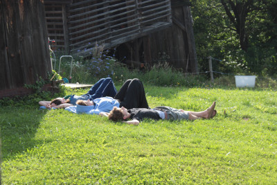 Entspannung im Gras Image