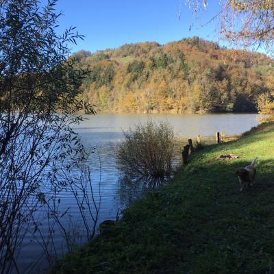 Herbst Am See