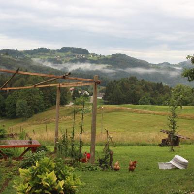 Hennen Und Nebel