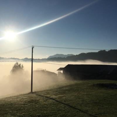 Hof Badet Im Nebel