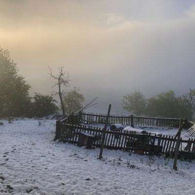 Schneemorgen Garten