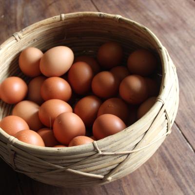 Eierkorb
